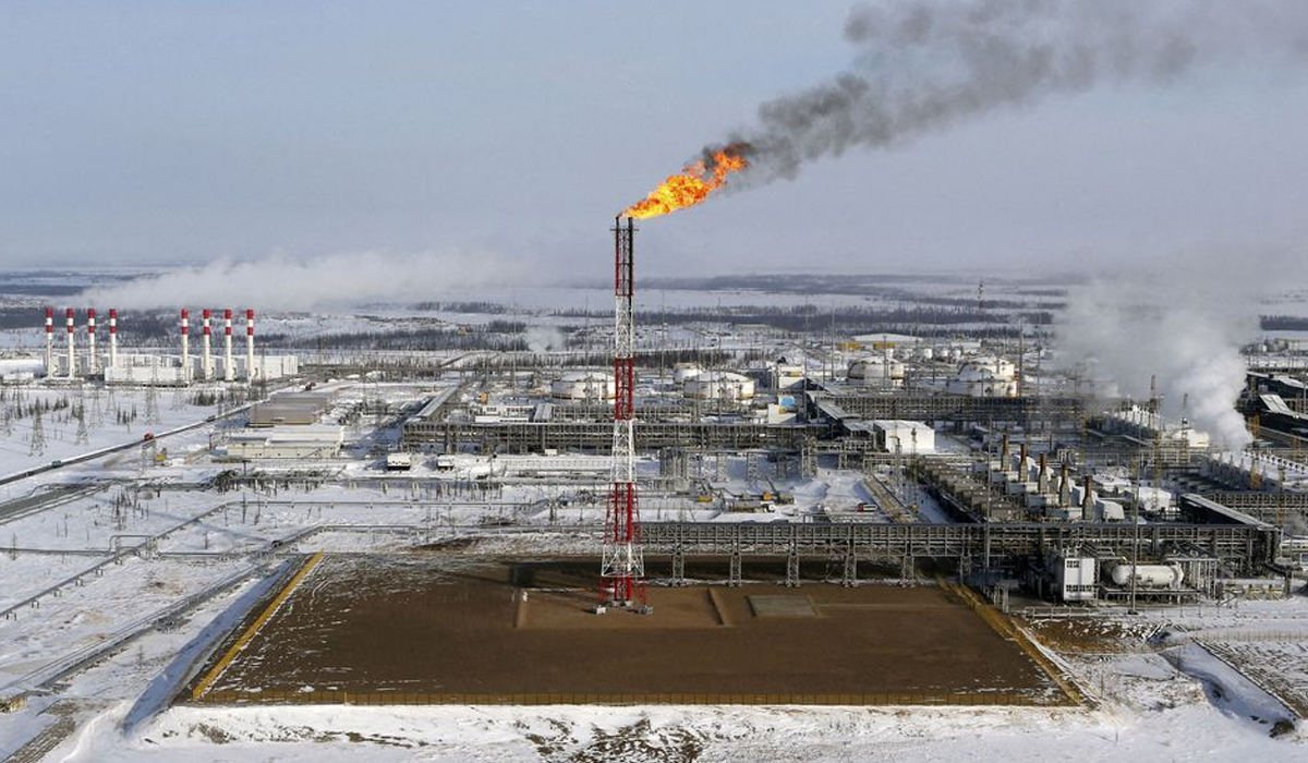Oil firms